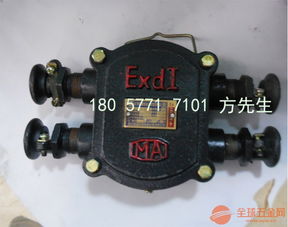热销BHD2-25/380-4T矿用防爆型电缆接线盒 安全连接的核心保障